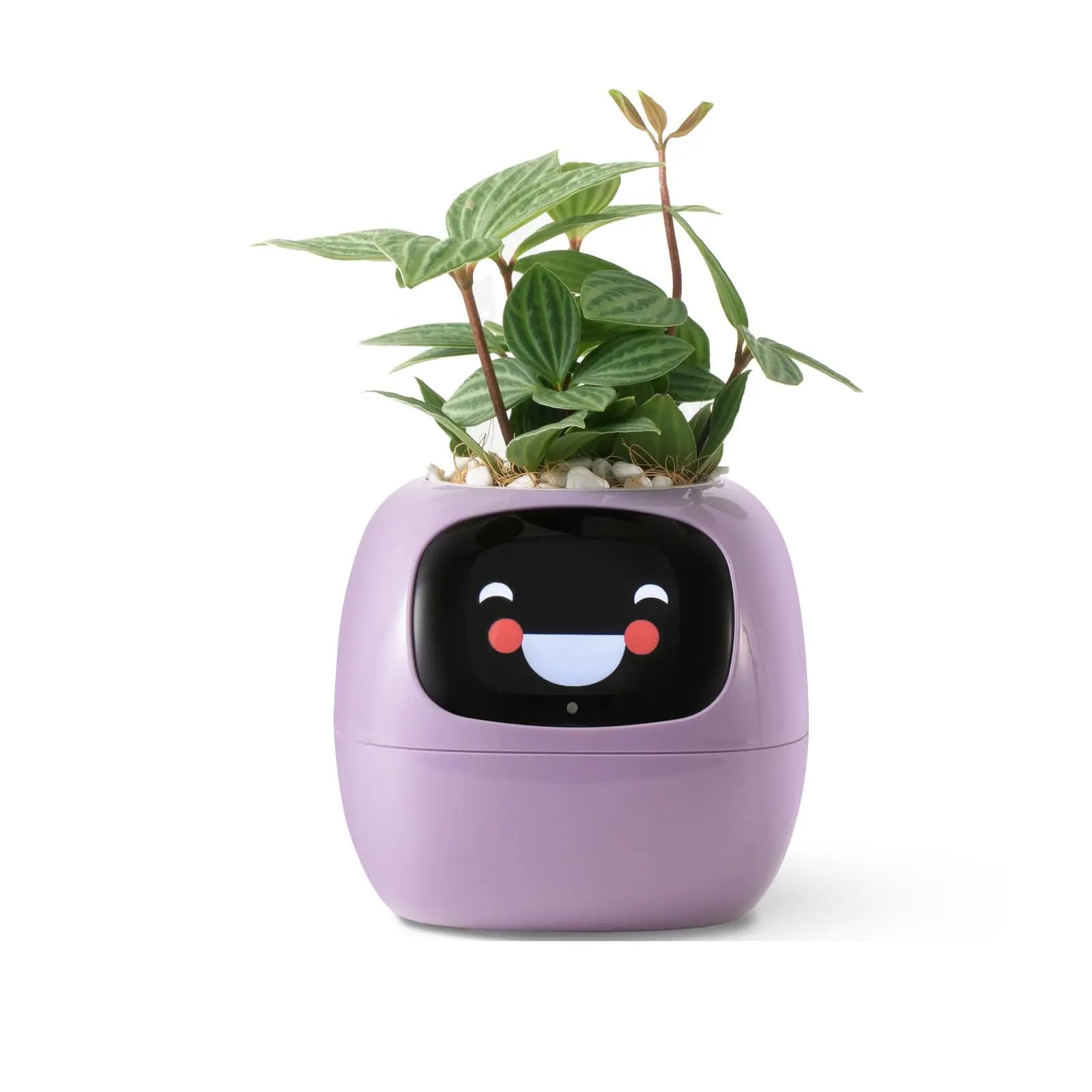 Smart Pet Planter Robot Guidance on Plant Care with Emojis