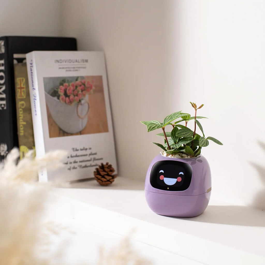Smart Pet Planter Robot Guidance on Plant Care with Emojis