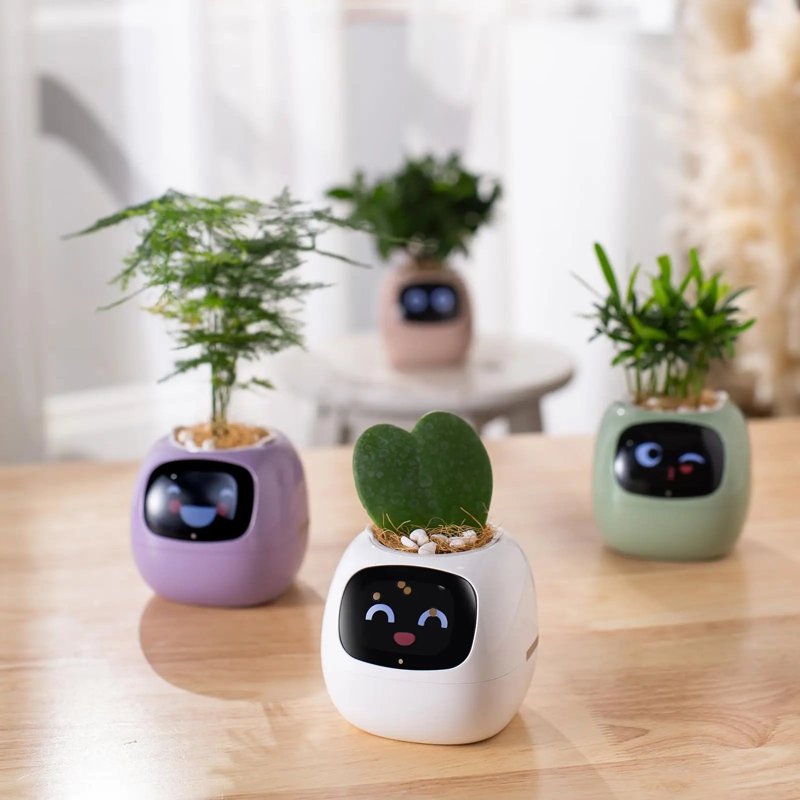 Smart Pet Planter Robot Guidance on Plant Care with Emojis
