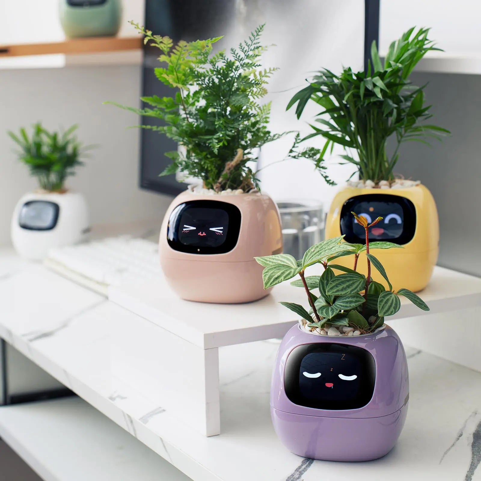 Smart Pet Planter Robot Guidance on Plant Care with Emojis